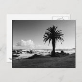 「キャンプズベイ南アフリカ」 BW JTGはがき ポストカード (正面/裏面)