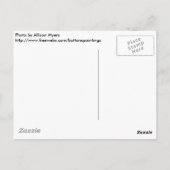 キャンプファイアアットサンセット ポストカード (裏面)