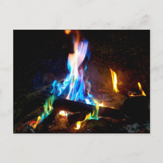 キャンプファイア ポストカード (正面)
