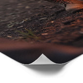 キャンプファイア、ランタン、ポーズリーダー ポスター (角)