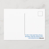 キャンプファイヤー ポストカード (裏面)