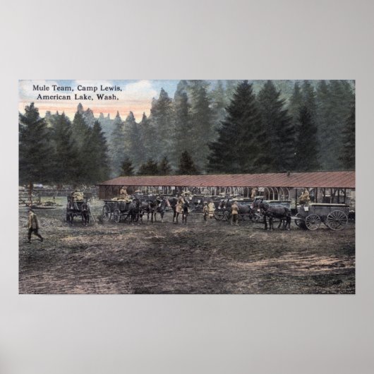 キャンプルイスのマールチーム ポスター (正面)