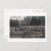 キャンプルイスのマールチーム ポストカード (正面/裏面)