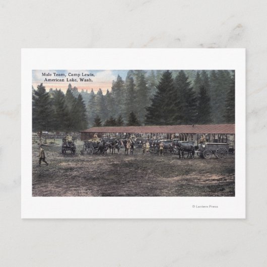キャンプルイスのマールチーム ポストカード (正面)