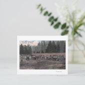 キャンプルイスのマールチーム ポストカード (スタンド正面)