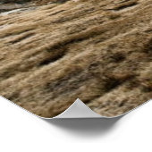 キャンプレイレイレイクス ポスター (角)