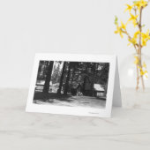 キャンプ場場面 カード (黄色い花)