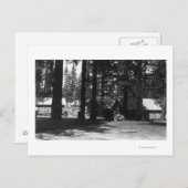 キャンプ場 ポストカード (正面/裏面)