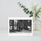 キャンプ場 ポストカード (スタンド正面)