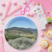 キャンベラでの牧歌的な日 ペーパープレート (パーティー)