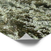 キャンベラでの牧歌的な日 ポスター (角)