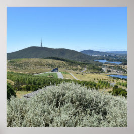 キャンベラでの牧歌的な日 ポスター