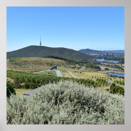 キャンベラでの牧歌的な日 ポスター (正面)