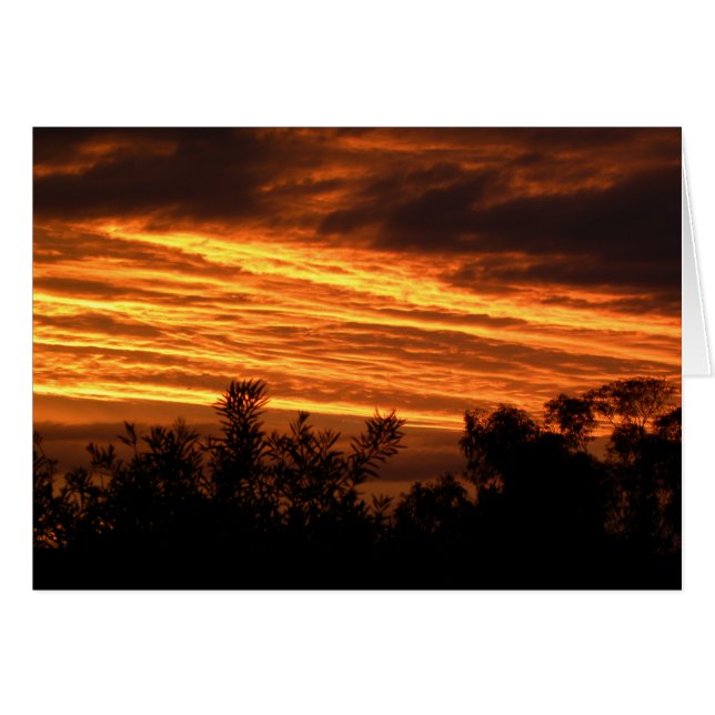 キャンベラの夏の日没 (正面横)