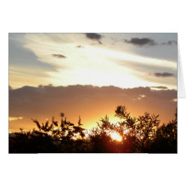 キャンベラの日没