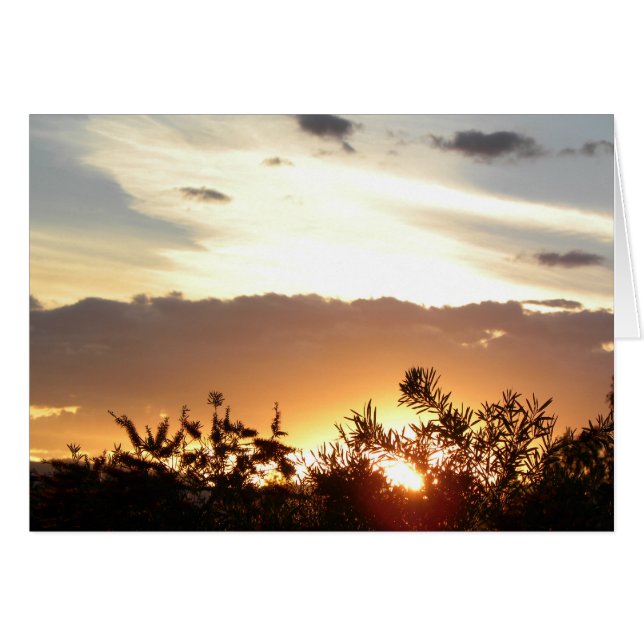 キャンベラの日没 (正面横)