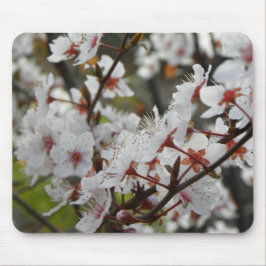 キャンベラの春 マウスパッド