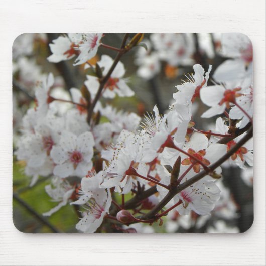 キャンベラの春 マウスパッド (正面)