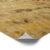 キャンベラ・エリートグルナー・ウェタンゲラ ポスター (角)