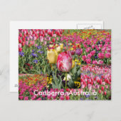 キャンベラ・オーストラリアのポストカード ポストカード (正面/裏面)