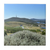 キャンベラ・セラミックタイルの牧歌的な日 タイル (正面)