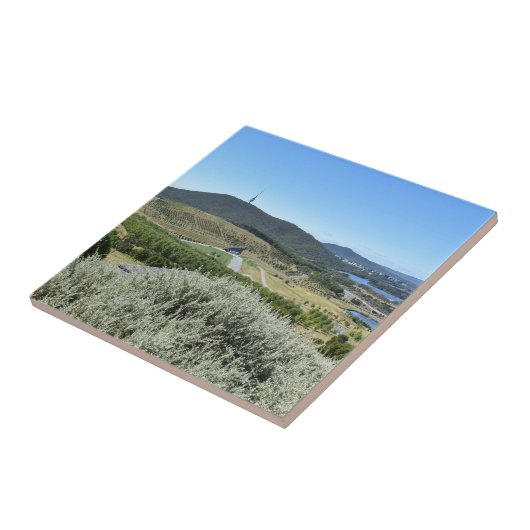 キャンベラ・セラミックタイルの牧歌的な日 タイル (側面)