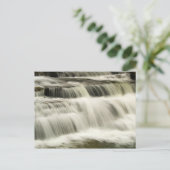 キャンベル・フォールズ, ウェストバージニア州 ポストカード (スタンド正面)