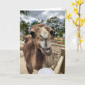 キャンメルグリーティングカード(こんにちは) カード (黄色い花)