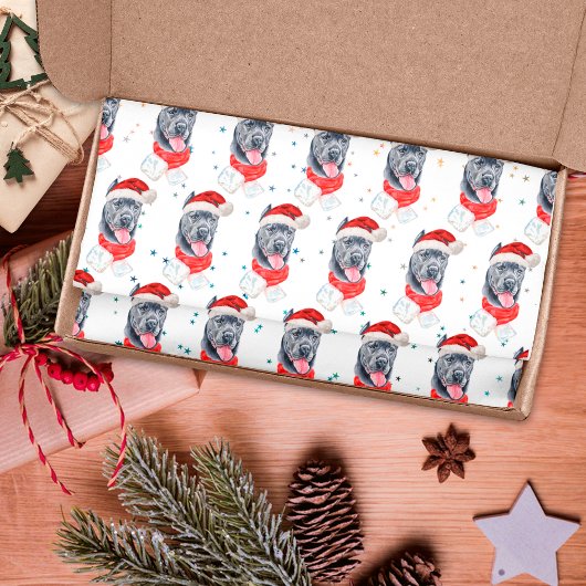 キャン・コルソ犬のクリスマス・スター 薄葉紙