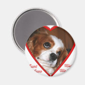 キャヴィラブ マグネット (正面/裏面)