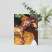 キュイ顔 ポストカード (スタンド正面)