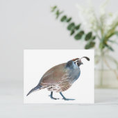 キュウイル ポストカード (スタンド正面)