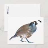 キュウイル ポストカード (正面/裏面)