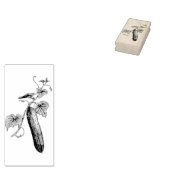 キュウリオンつる植物 ラバースタンプ (押印)