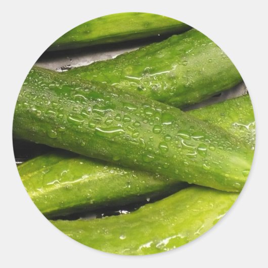 キュウリクールとして ラウンドシール (正面)