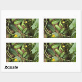 キュウリパッチ長方形ステッカー 長方形シール (シート)