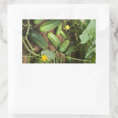 キュウリパッチ長方形ステッカー 長方形シール (バッグ)