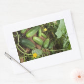 キュウリパッチ長方形ステッカー 長方形シール (封筒)