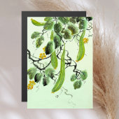 キュウリ中国のー