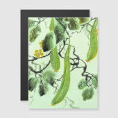 キュウリ中国のー (正面/裏面)