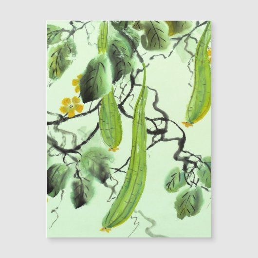 キュウリ中国のー (正面)