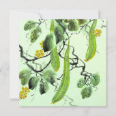 キュウリ中国のー (正面)