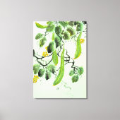 キュウリ中国のー キャンバスプリント (正面)