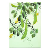 キュウリ中国のー フォトプリント            (正面)