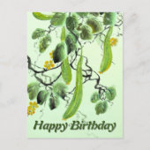 キュウリ中国のー ポストカード (正面)