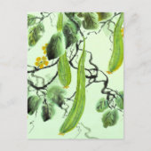 キュウリ中国のー ポストカード (正面)