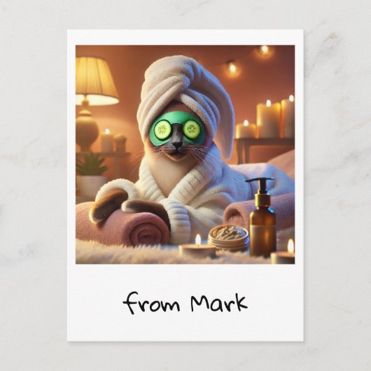 キュウリ付き猫スパトリートメント ポストカード (正面)