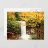 キュウリ秋紅葉 ポストカード (正面/裏面)