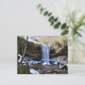 キュウリ秋 – 冬 ポストカード (スタンド正面)