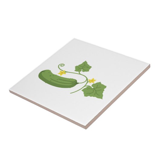 キュウリ タイル (側面)